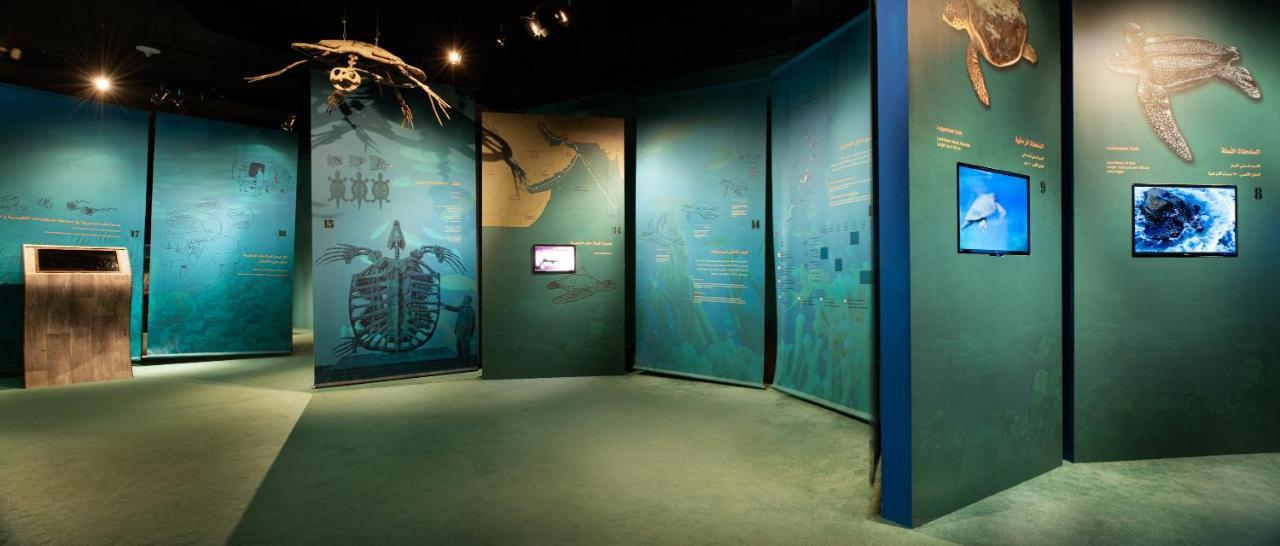 Ras Al Jinz Turtle Reserve Al Hadd Exterior photo