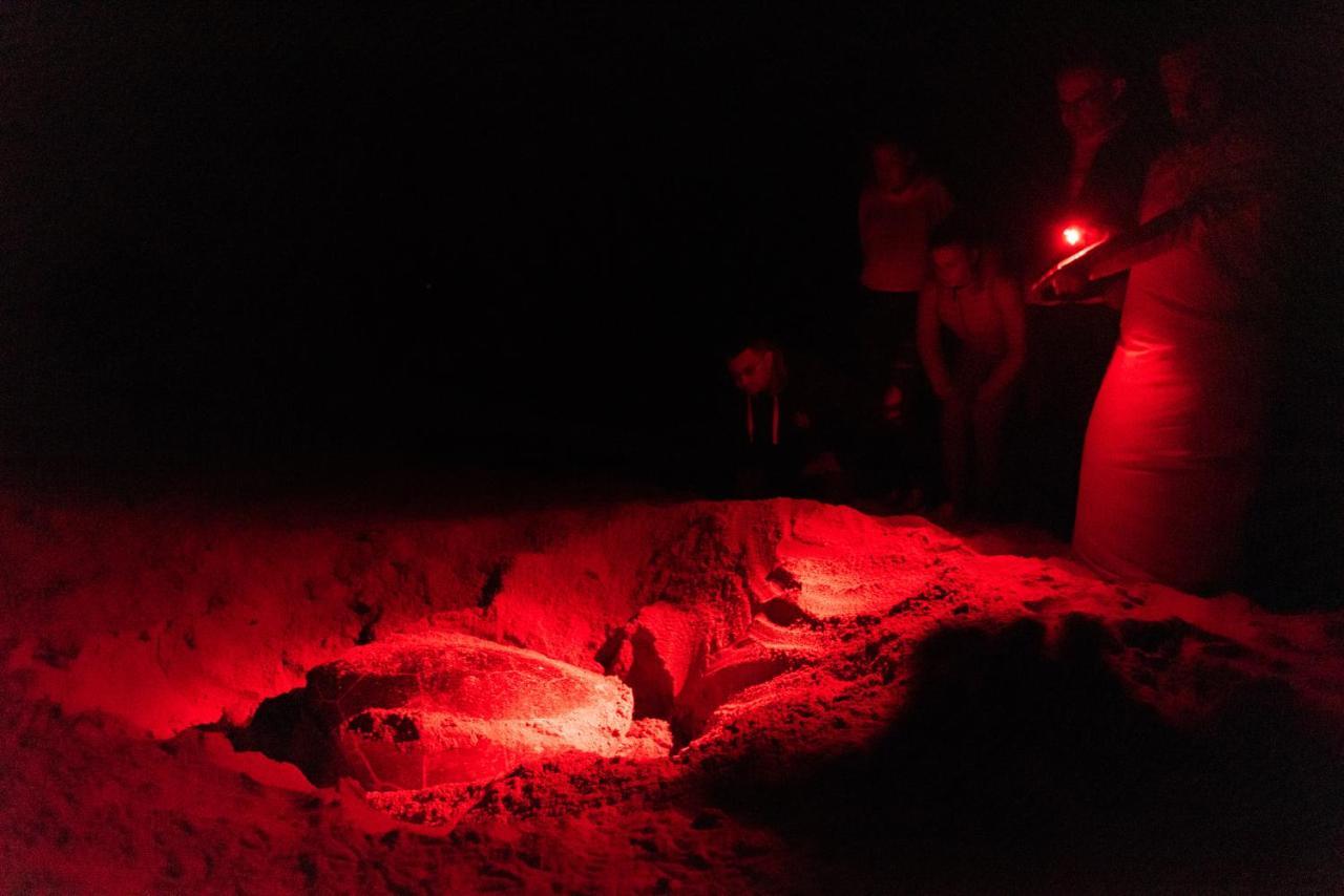 Ras Al Jinz Turtle Reserve Al Hadd Exterior photo