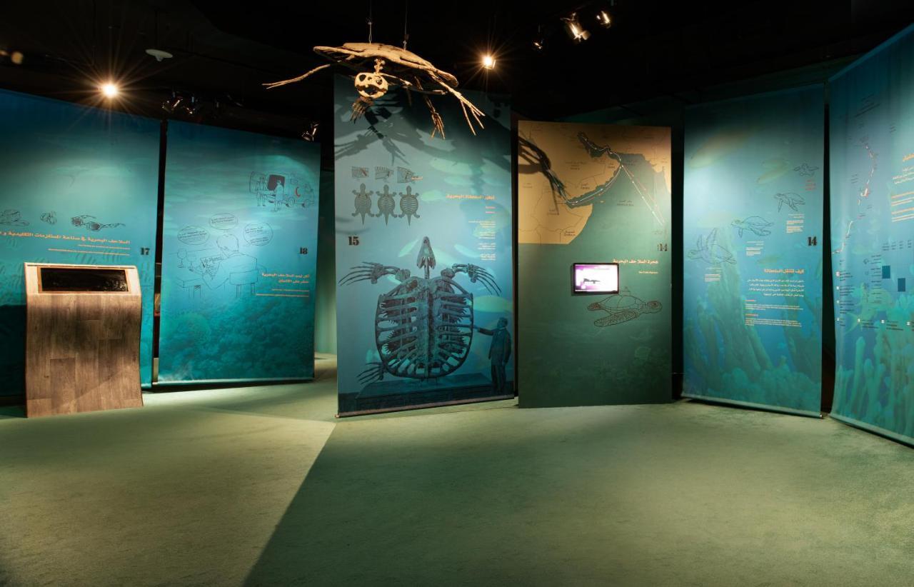 Ras Al Jinz Turtle Reserve Al Hadd Exterior photo